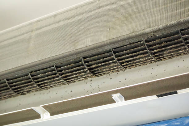 Best Commercial Air Duct Cleaning  in West Milton, PA